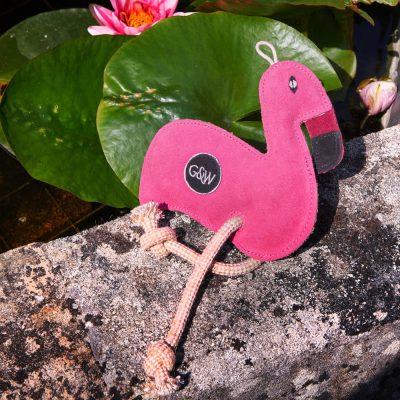 Floyd Flamingo